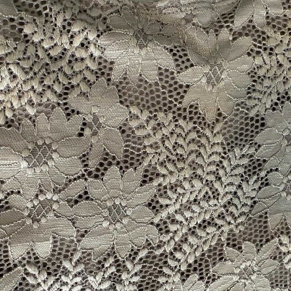 Altar'd State Lace Crop Top in Taupe - Picture 3 of 3
